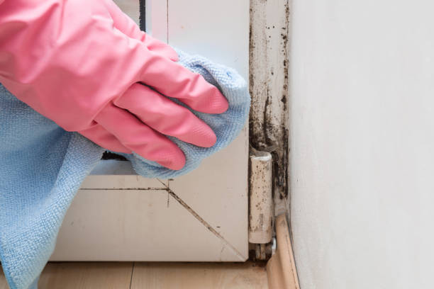 Best Bathroom Mold Remediation in Skippers Corner, NC